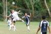 photo44_small.jpg