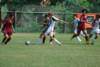 photo25_small.jpg