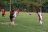 photo65_small.jpg